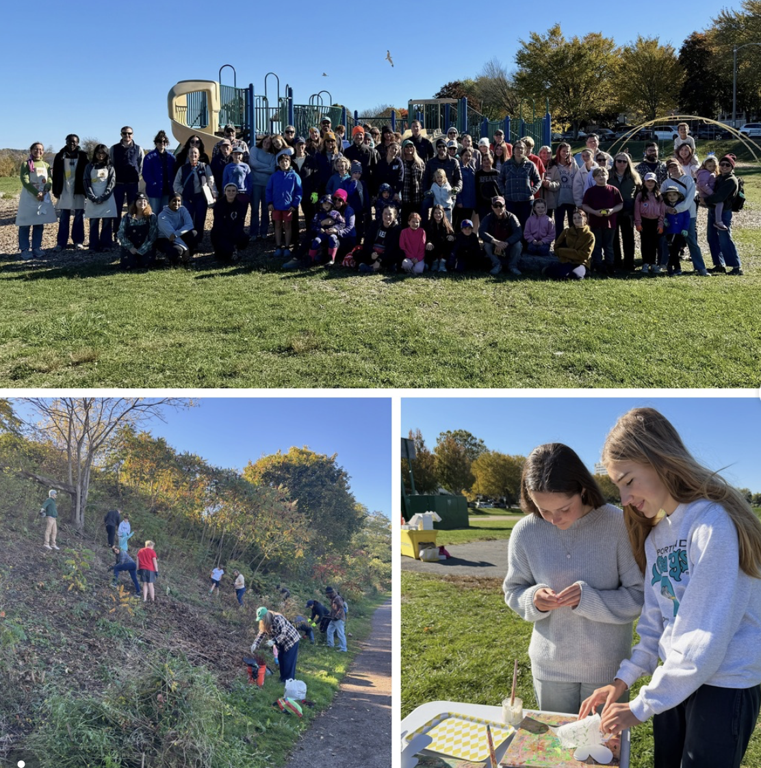 Park & Playground Stewardship